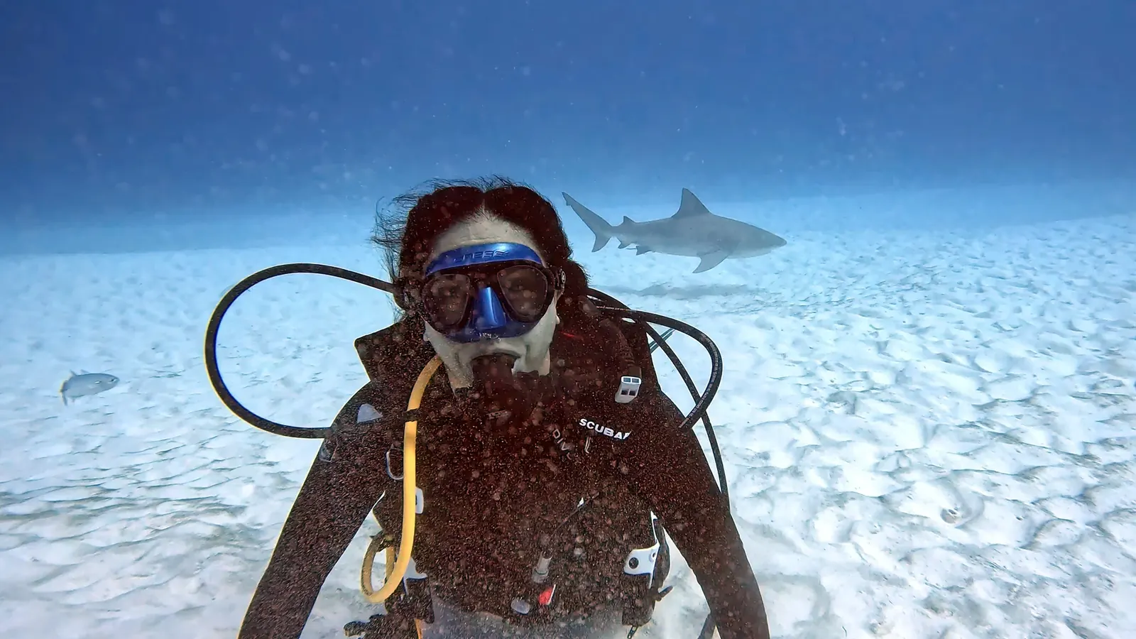 Scuba diving at Scuba Diving Certification Cancun