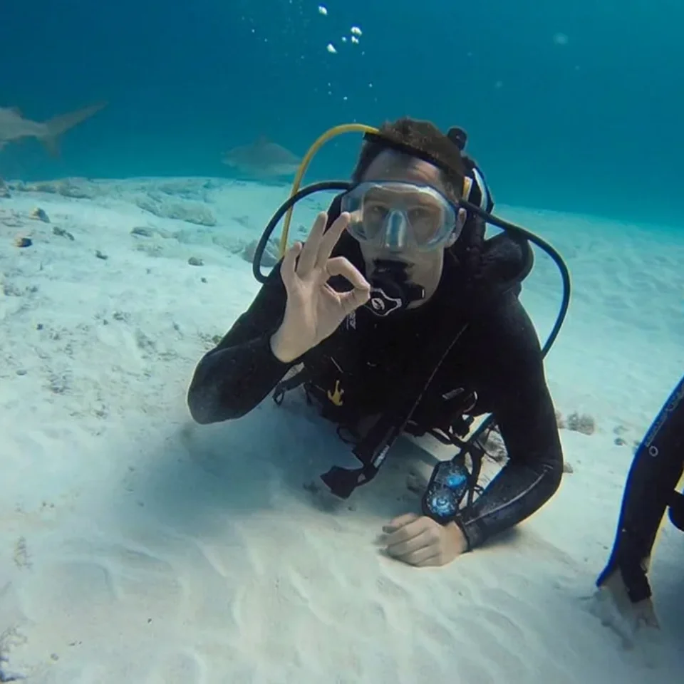 Diver giving the OK sign on the sand with a bull shark passing behind
