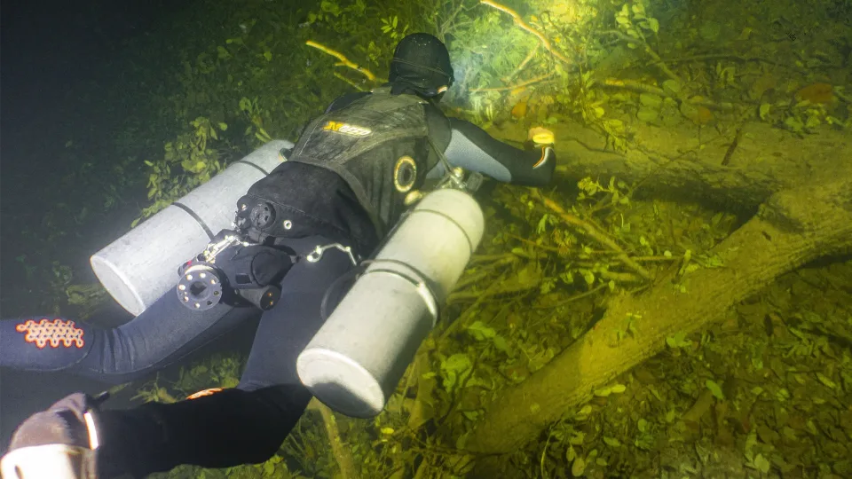 Technical diver above the fallen trees of Cenote Angelita