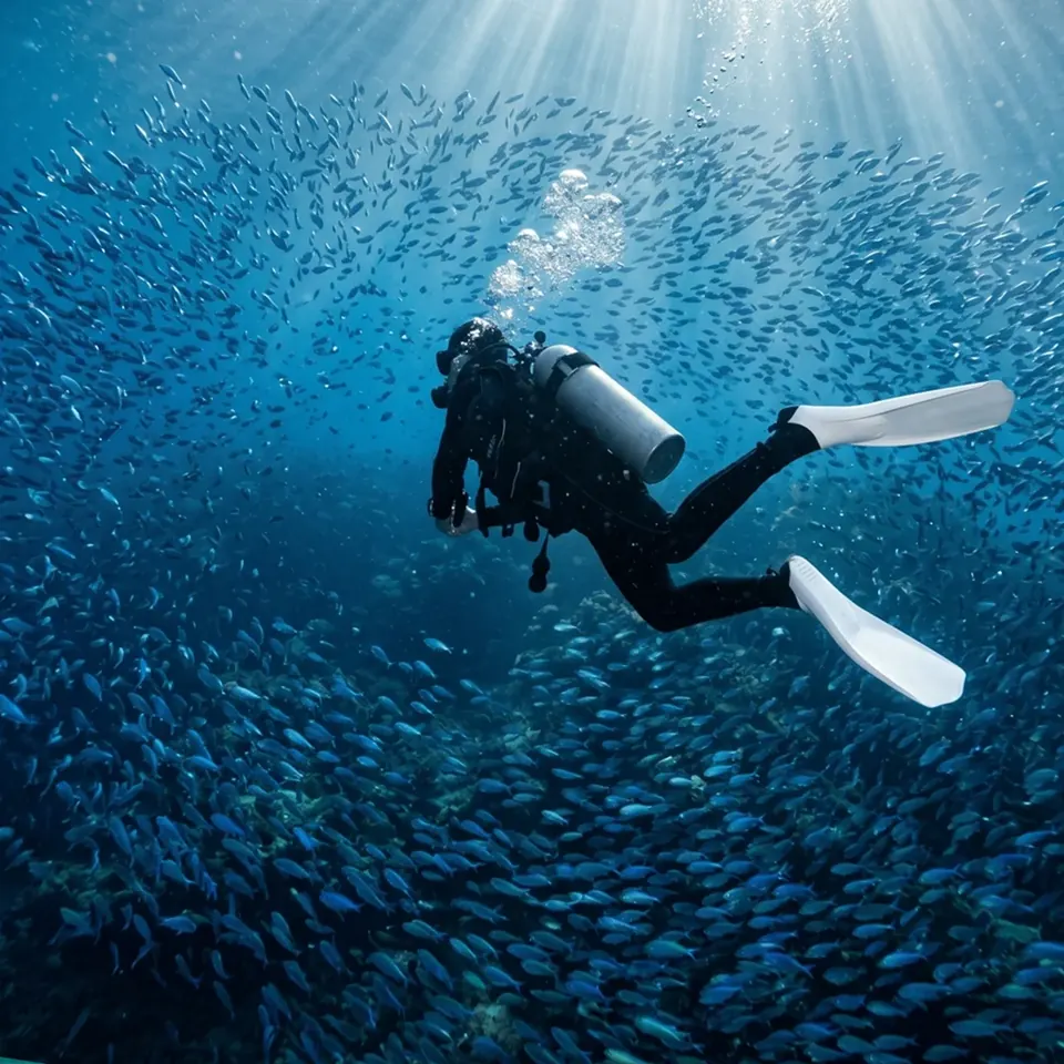 Diver along the Belize barrier reef wall