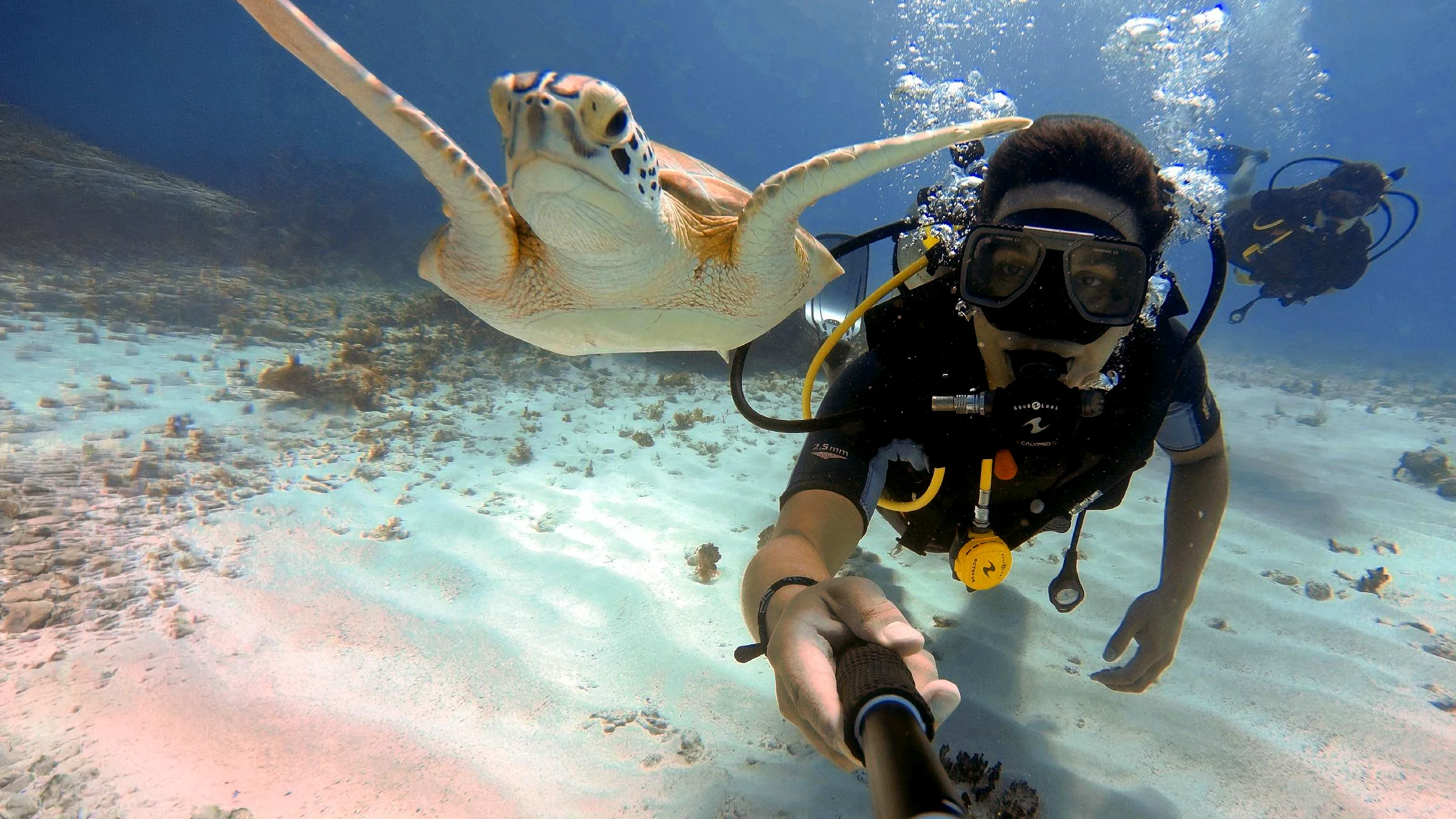 Diver swimming beside a sea turtle over a sandy reef in Cancun