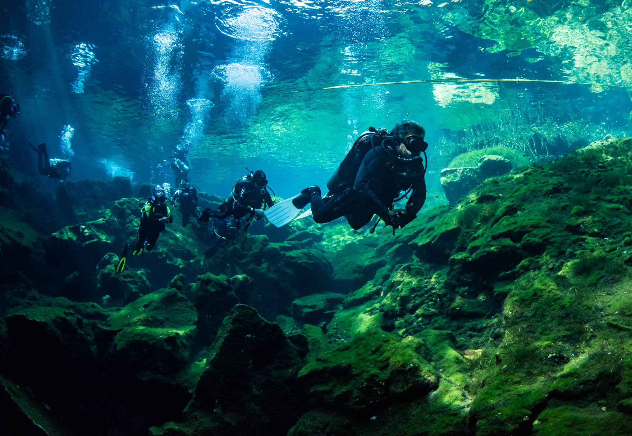 A line of divers gliding over moss-covered rock in the clear water of a cenote