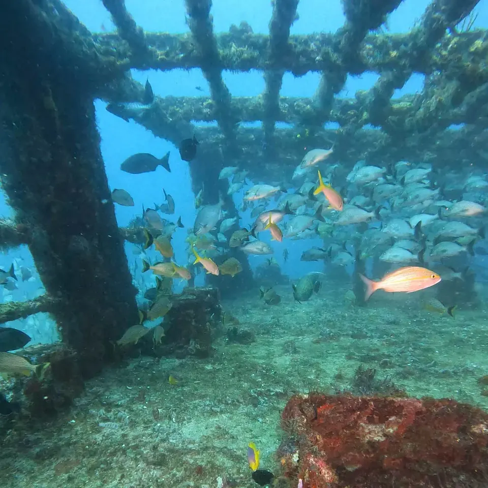 Diver exploring the C-58 minesweeper wreck off Cancun