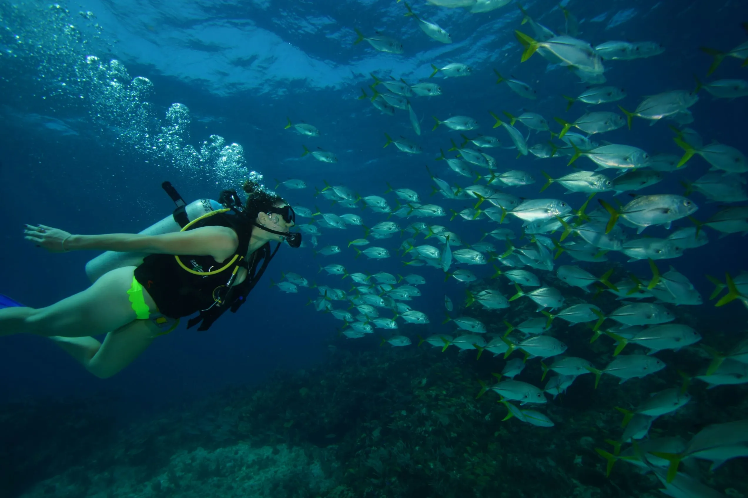 A scuba diver swimming alongside a green sea turtle over a coral reef while experiencing scuba diving in Cancun.