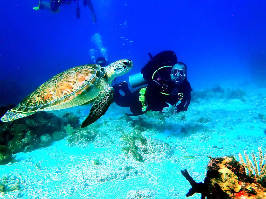 A scuba diver enjoying a close encounter with a giant manta ray while scuba diving in Cancun clear blue waters