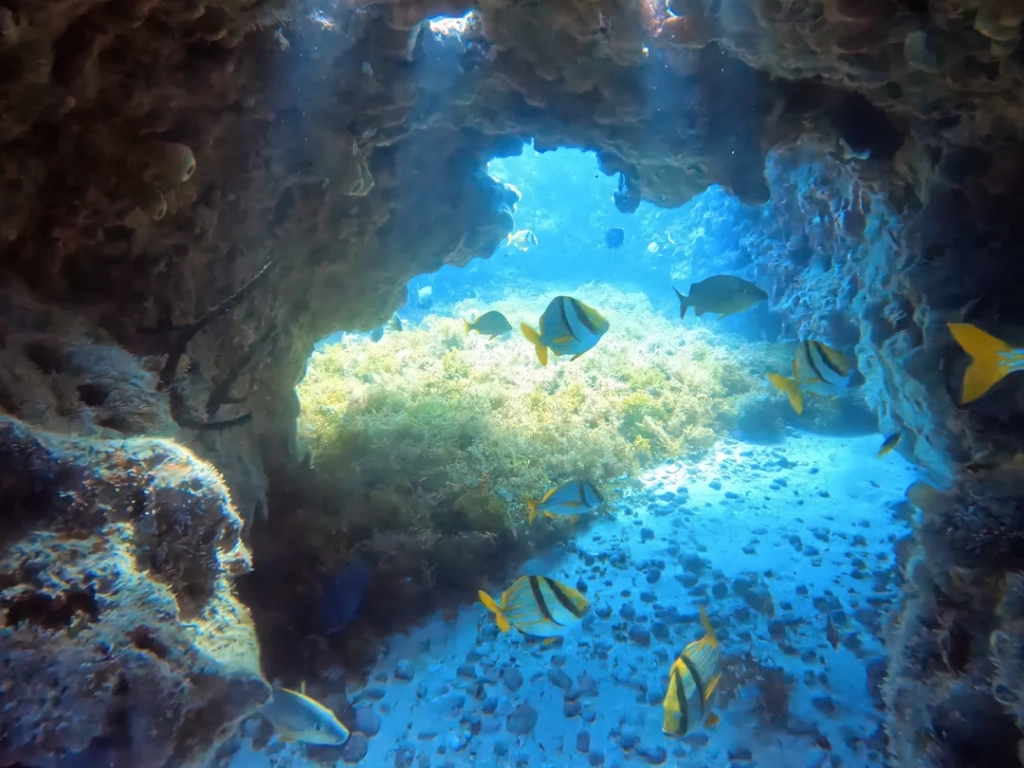 Sunlight beams illuminating the inside of a coral reef cavern filled with fish, a stunning view to experience while scuba diving in Cancun.