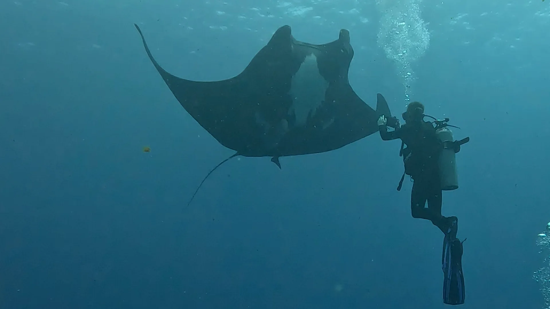 A scuba diver swimming alongside a green sea turtle over a coral reef while experiencing scuba diving in Cancun.