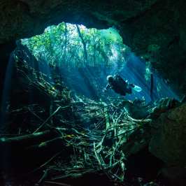 dive cenotes Tulum cave diving Ponderosa Always Diving