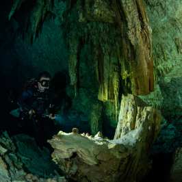 dive cenotes Tulum cave diving Ponderosa Always Diving