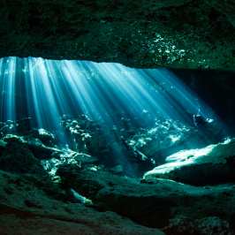 Dive tulum cenotes ponderosa with Always Diving