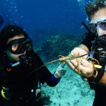 Dive in Cancun with Always Diving
