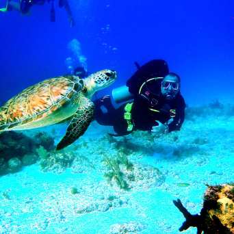 Dive in Cancun with Always Diving