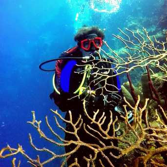 Dive in Cancun with Always Diving