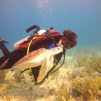 Dive in Cancun with Always Diving