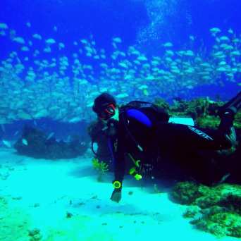 Dive in Cancun with Always Diving