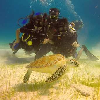 Kids dive in Cancun with Always Diving
