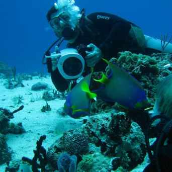 Dive in Cancun with Always Diving