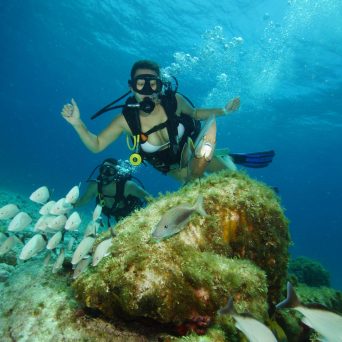 Dive MUSA underwater museum at Isla Mujeres with Always Diving