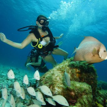 Dive MUSA underwater museum at Isla Mujeres with Always Diving