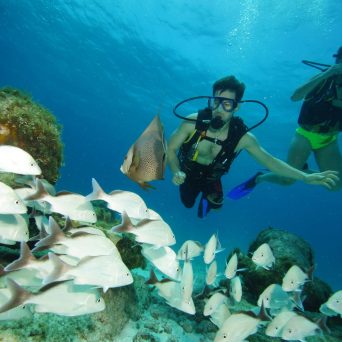 Dive MUSA underwater museum at Isla Mujeres with Always Diving