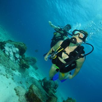 Dive MUSA underwater museum at Isla Mujeres with Always Diving