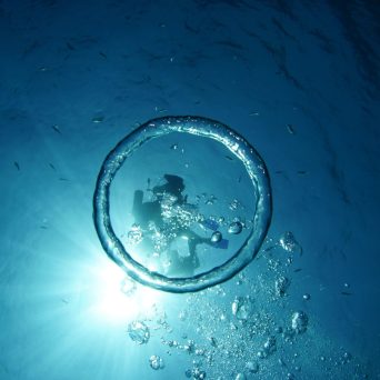 dive Cancun bubbles with Always Diving