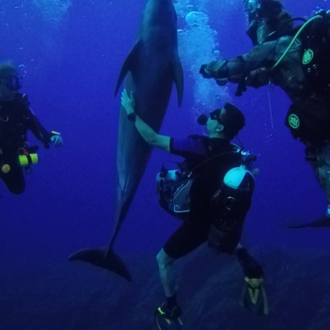a group of people swimming in the water