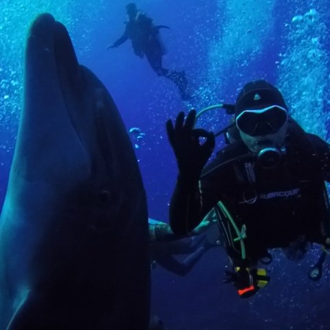 a man swimming in the water