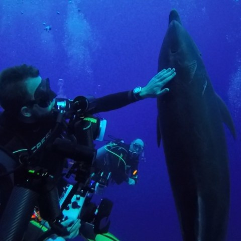 a person swimming in the dark