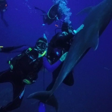 a person swimming underwater
