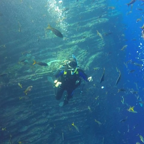 a flock of birds swimming in the water