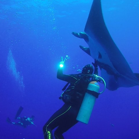 a person swimming in the water