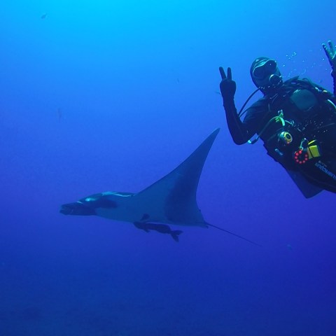 a person swimming in the water