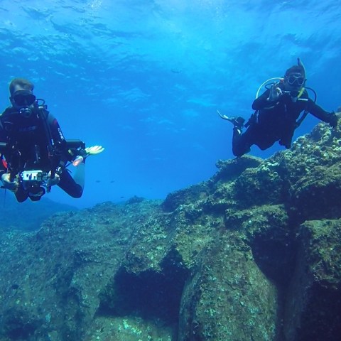 a person swimming in the water