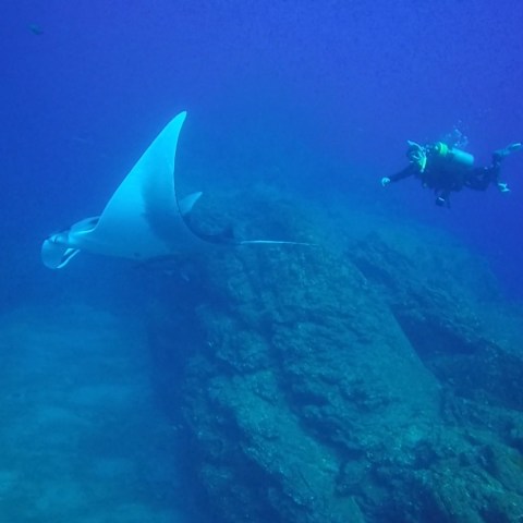 a person swimming in the water