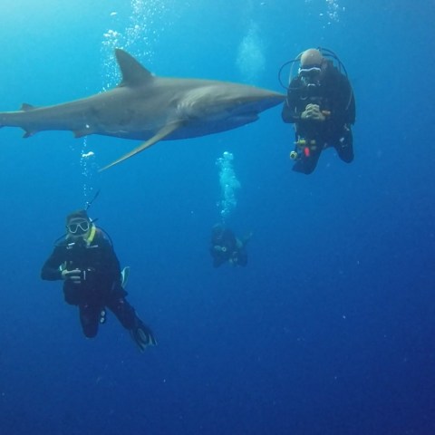 a person swimming underwater