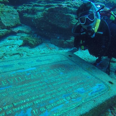 a person swimming in the water