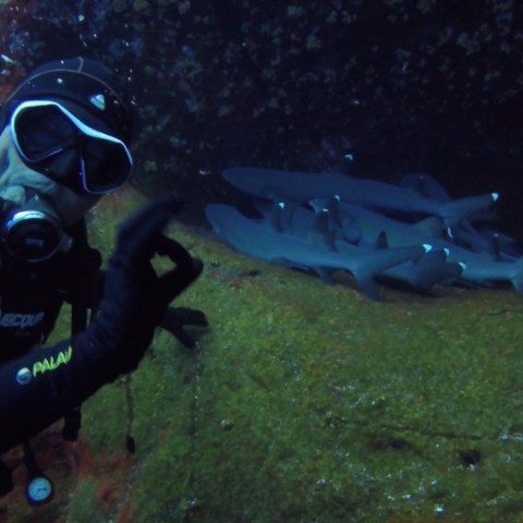 a person wearing a helmet