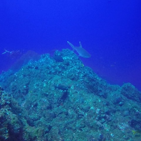 underwater view of a swimming pool
