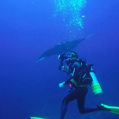 a man swimming in the water