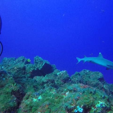 underwater view of a swimming pool