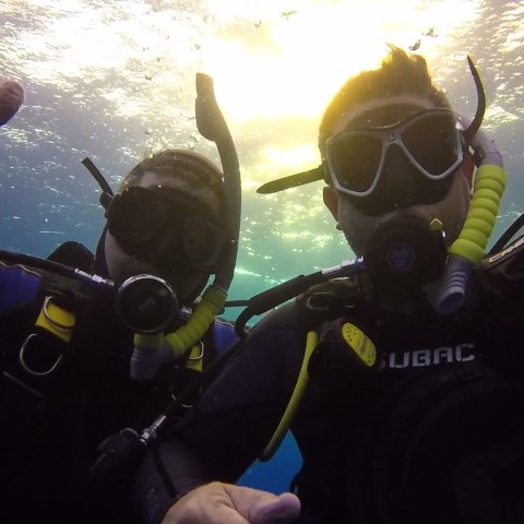 a group of people swimming in the water