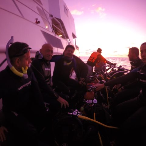 a group of people sitting and standing in front of a crowd