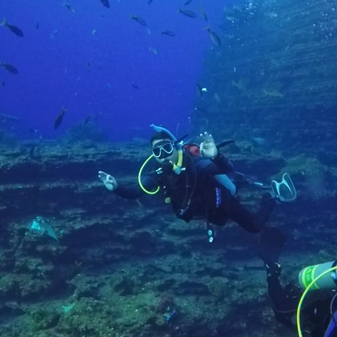 a person swimming underwater