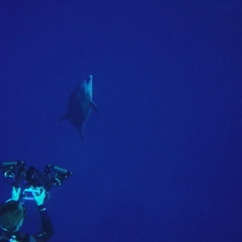 a man flying through the air while swimming