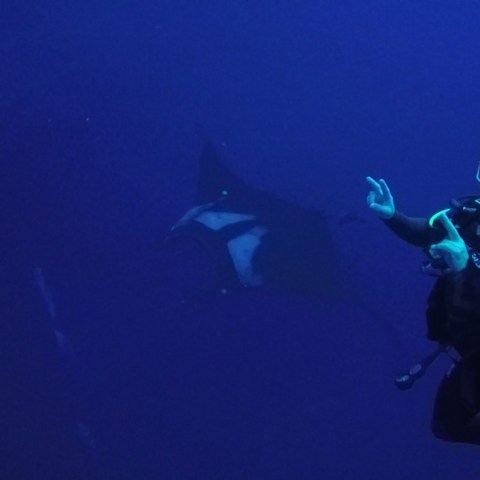 a man swimming in the dark