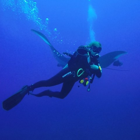 a person flying through the air while swimming in a body of water