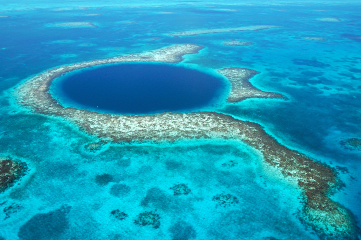 dive Belize Bluehole reef with Always Diving